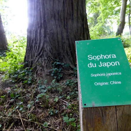 Pensionat Le Chateau De 3*