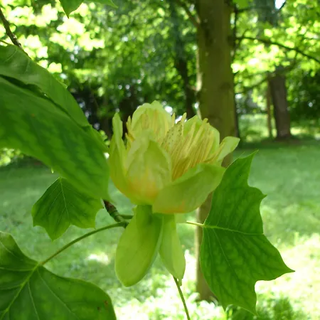 Penzion Le Chateau De