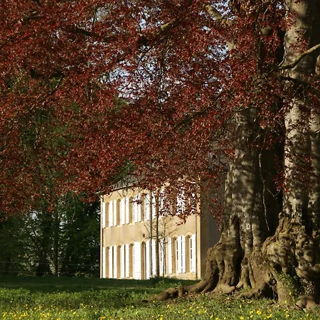 Le Château De 2* Puxe