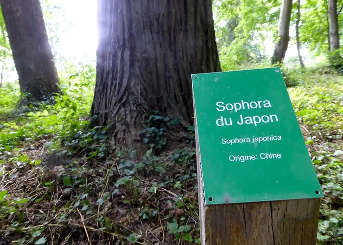 Penzion Le Chateau De 3*