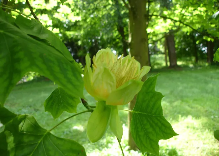 Penzion Le Chateau De