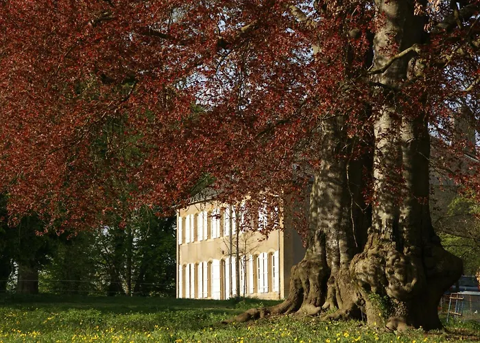 Le Chateau De 3* Puxe