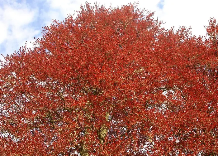 Le Chateau De Penzion 3*